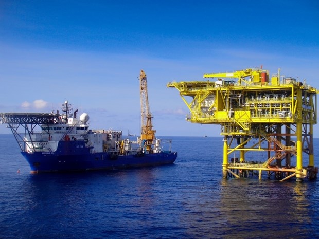 te giac trang oil field reaches production milestone of 100 million barrels picture 1