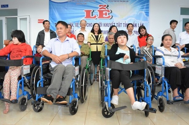 vietnam affirms commitment to promote rights of the disabled picture 1