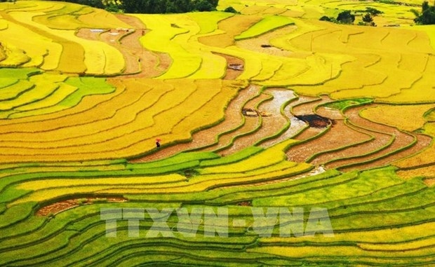 vietnam nominated in 10 categories at world travel awards 2022 picture 1