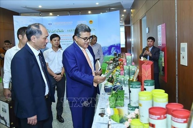 workshop seeks to boost lai chau s tea exports picture 1