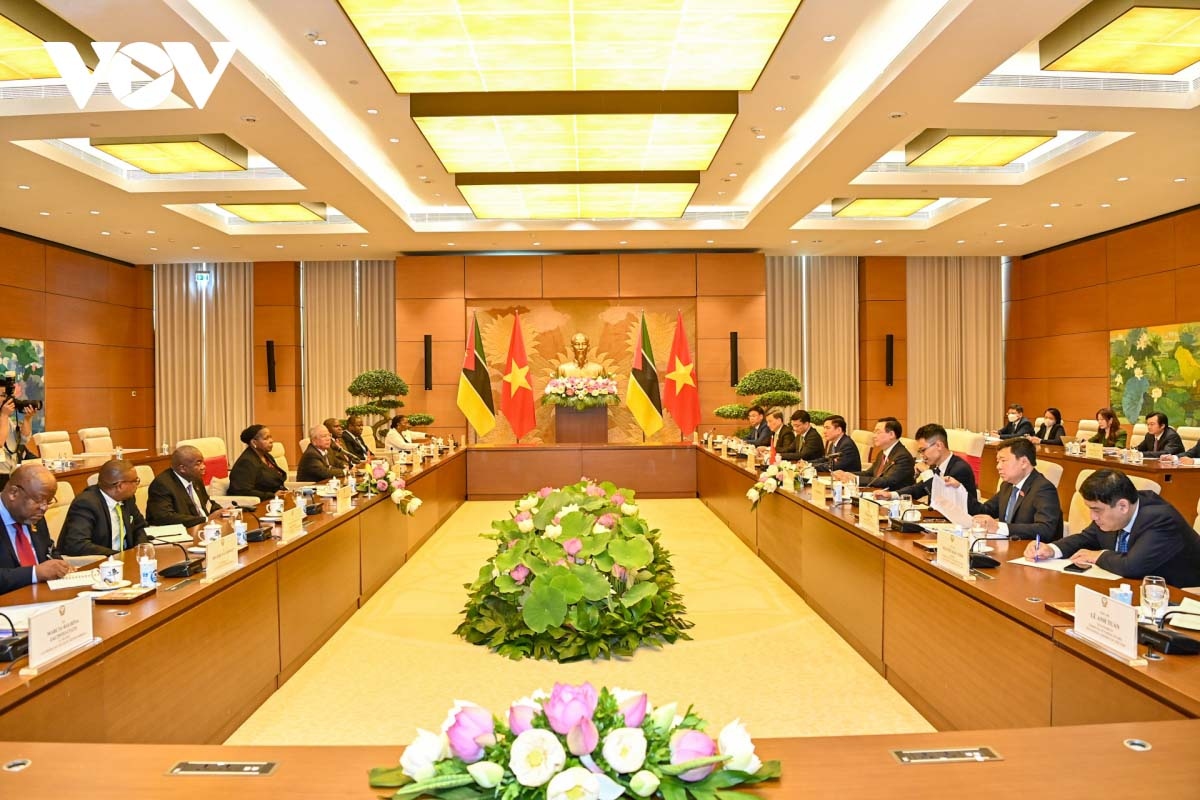 vietnam prioritises developing relations with mozambique in africa picture 2