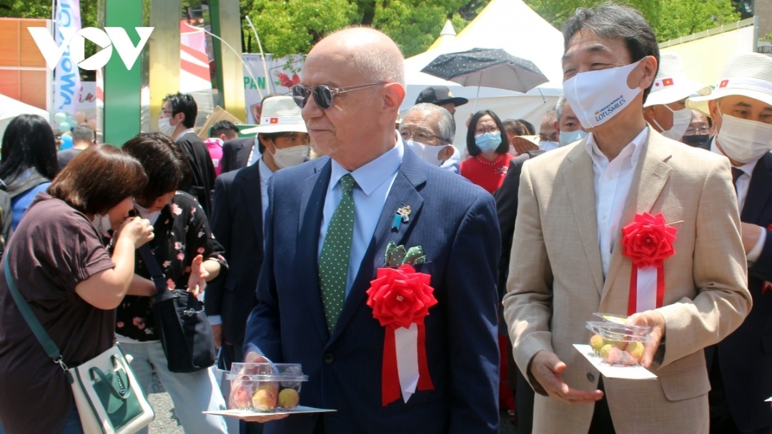 vietnamese fresh lychees popular with japanese consumers picture 1