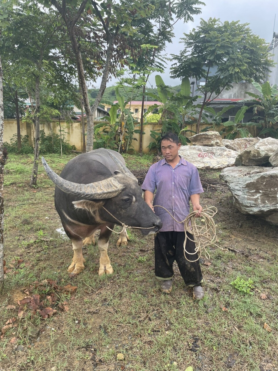  choi trau an tien, 19 nguoi bi khoi to hanh vi danh bac hinh anh 2