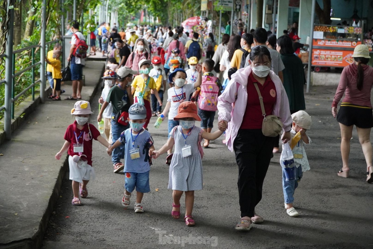 saigon zoo and botanical gardens bustling on international children s day picture 2 saigon zoo and botanical gardens bustling on international children s day picture 2