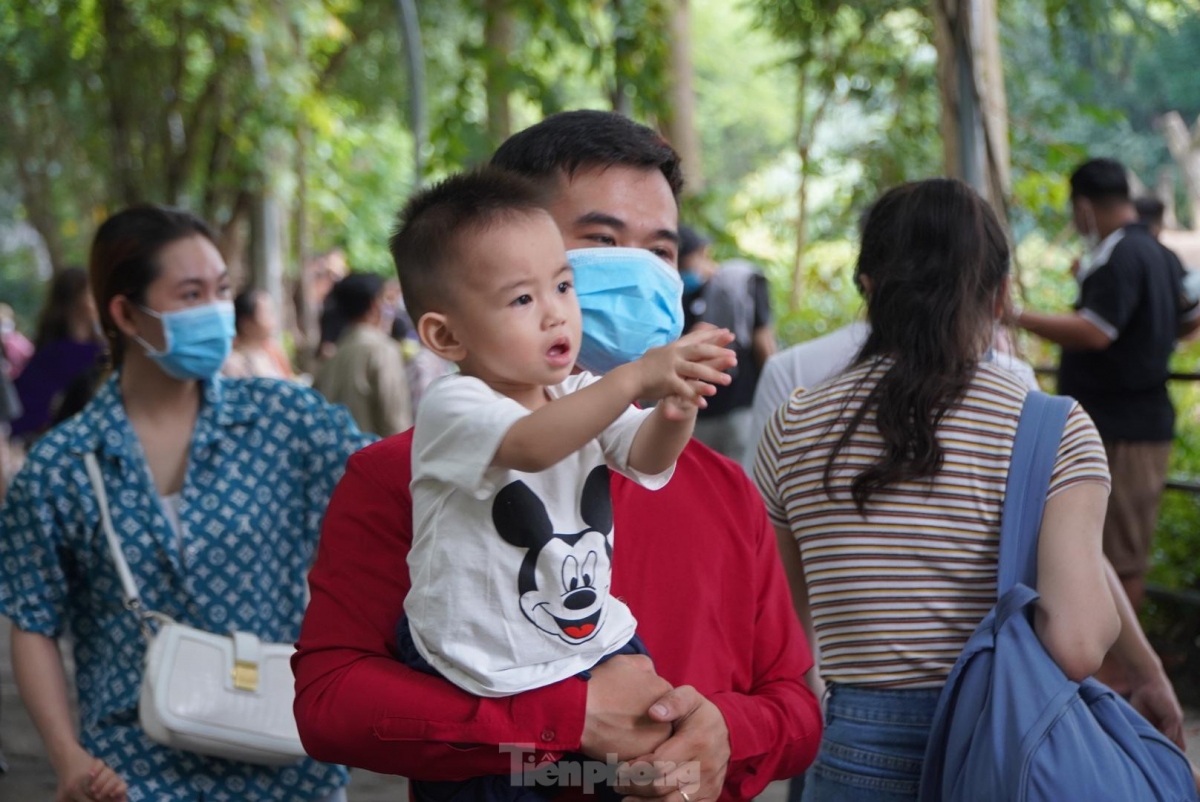 saigon zoo and botanical gardens bustling on international children s day picture 3 saigon zoo and botanical gardens bustling on international children s day picture 3