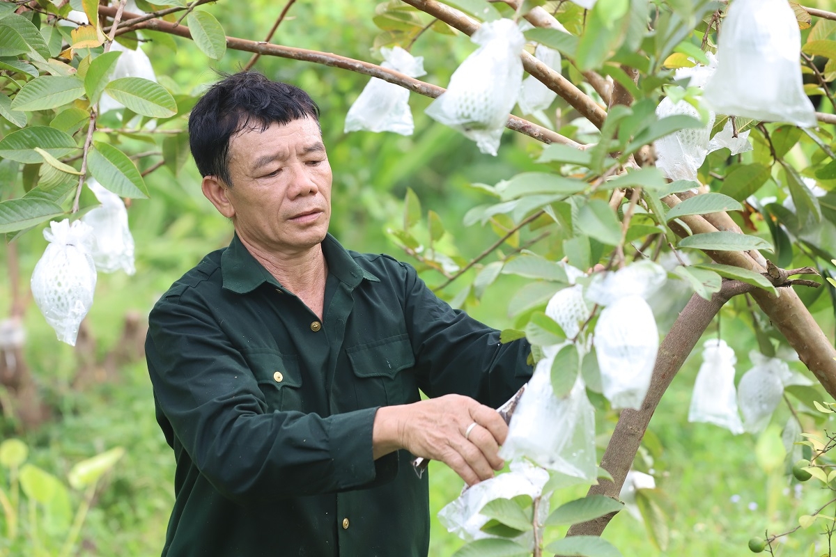 Thương binh vượt khó, chung sức xây dựng bản làng