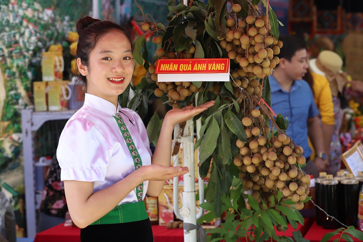 Nhãn Sông Mã - Thương hiệu, uy tín, khát vọng vươn xa