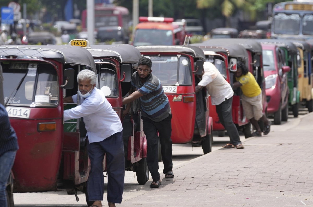 sri lanka hoi mua dau cua nga voi gia uu dai hinh anh 1