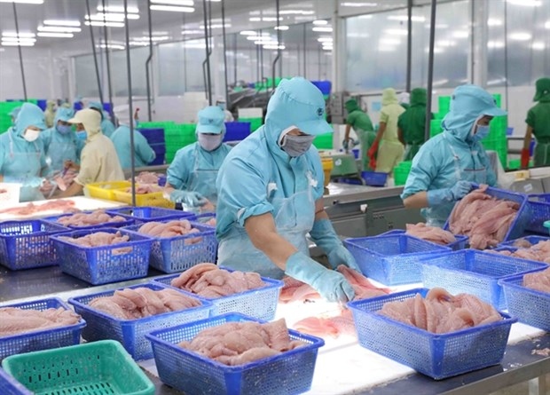 pangasius exports to uk soar six-fold picture 1