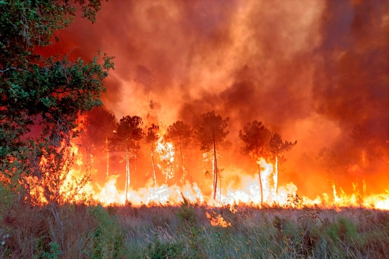Cháy rừng gia tăng tại miền Bắc