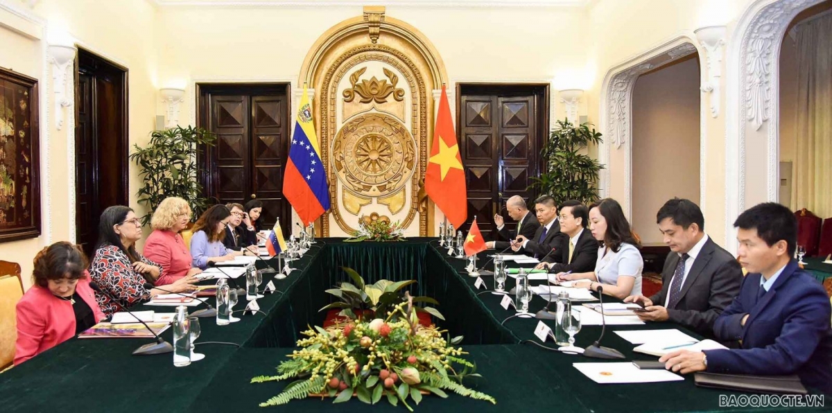 vietnam, venezuela hold political consultation in hanoi picture 1