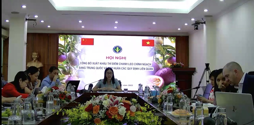 vietnamese passion fruit enters chinese market via official channels picture 1
