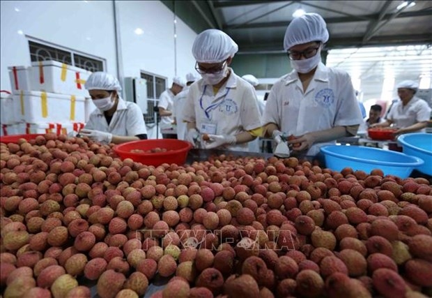 big step for vietnamese fruits towards us market picture 1