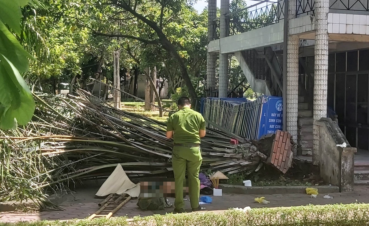 Cây đổ đè chết người trong công viên tại TP Vinh