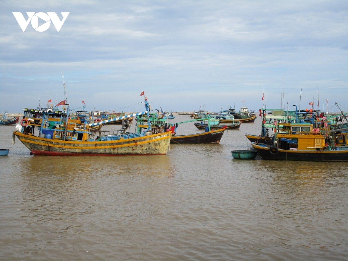 mat lien lac voi tau ca cho 16 thuyen vien tren vung bien binh thuan hinh anh 1