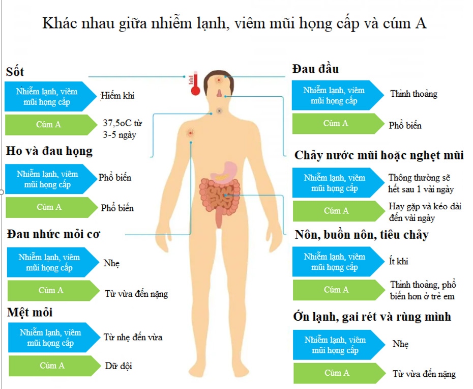 cum a va viem mui hong cap - phan biet nhu the nao hinh anh 1