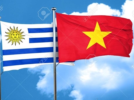 Uruguay keen to promote sound relations with Vietnam