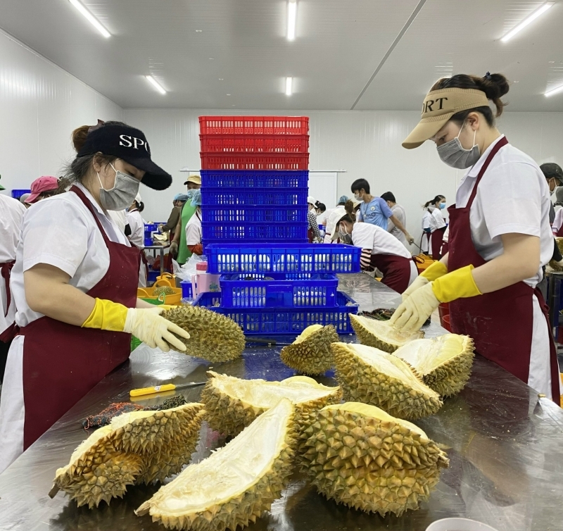 Xuất khẩu nông sản nửa đầu năm 2022 của Đắk Lắk đạt gần 20.000 tỷ đồng