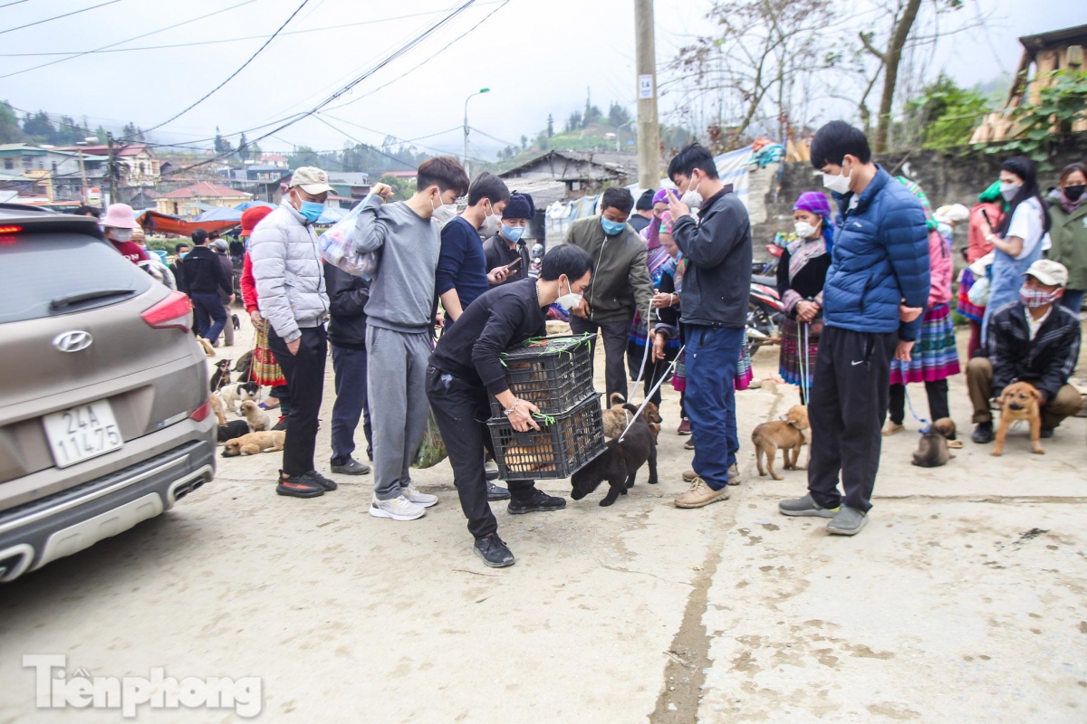 unique dog market in bac ha plateau excites crowds picture 7