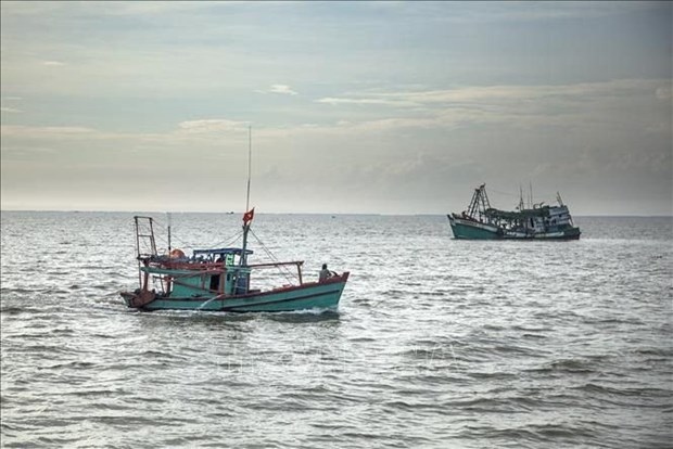 vietnam ready to cooperate and share experience in combating illegal fishing picture 1