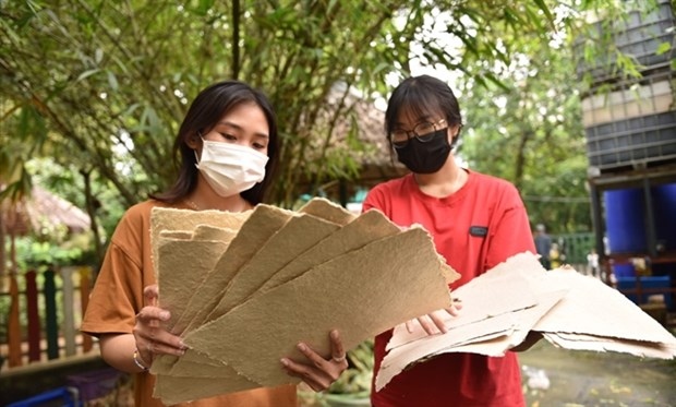 hcm city s zoo makes eco-friendly paper from elephant dung picture 1