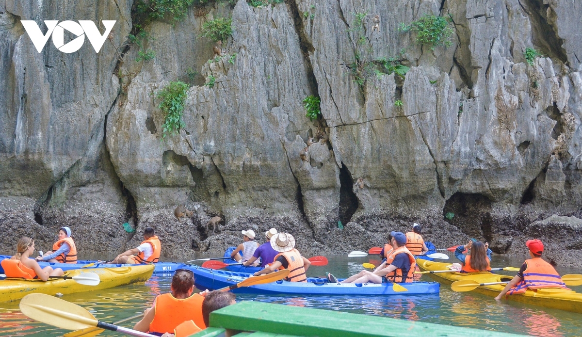 what makes ha long bay such a famous tourist attraction picture 11