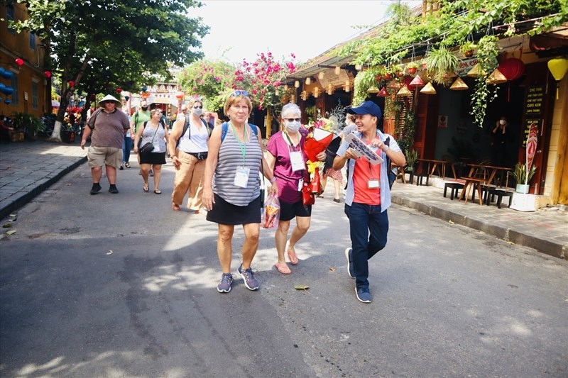 tourist arrivals to quang nam increase sharply picture 1