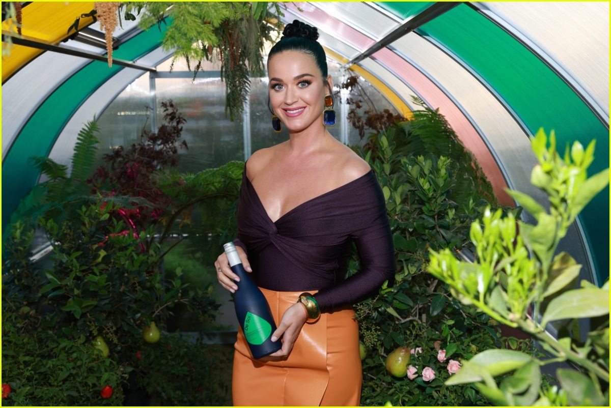 Sexy Katy Perry attends a party - Photo 8.