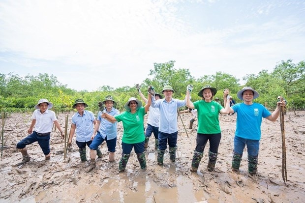 undp pledges more flood-proof houses for thanh hoa picture 1