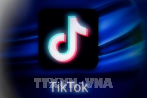 tiktok removes over 2.4 million videos posted by vietnamese users picture 1