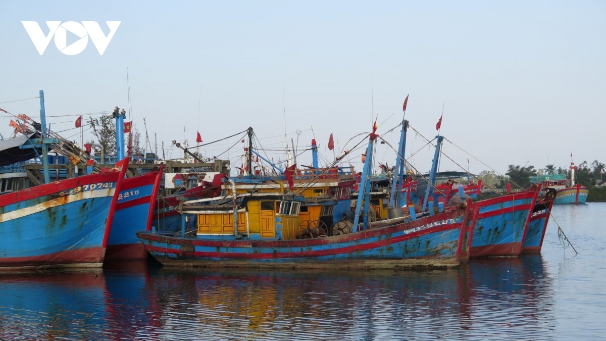 som ho tro ngu dan anh huong boi gia xang dau tang cao hinh anh 1