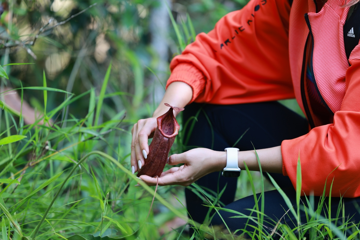 mê mẩn nhan sắc của Á hậu hoàng my trong bộ ảnh du lịch khám phá tây ninh hình ảnh 10 me man nhan sac cua A hau hoang my trong bo anh du lich kham pha tay ninh hinh anh 10
