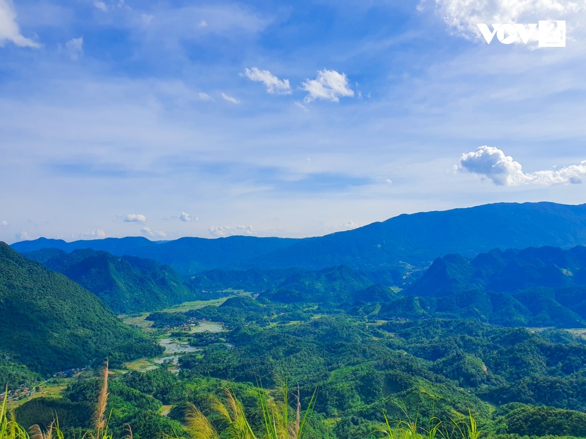 son ba muoi - nguoi dep ngu trong rung pu luong hinh anh 2