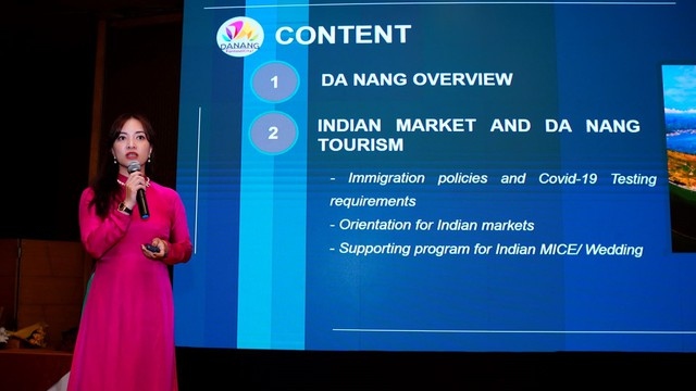 da nang promotes tourism potential in india picture 1