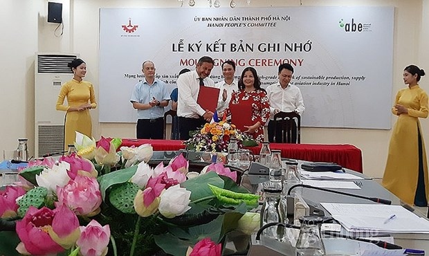 hanoi partners up with french business in aviation industry picture 1