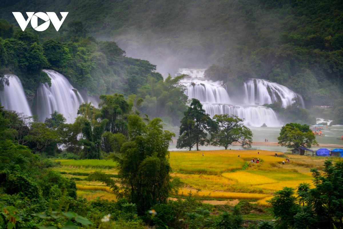 discovering southeast asia s largest waterfall in vietnam picture 9