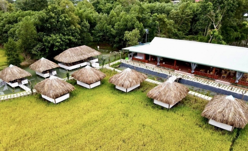 Quảng Ngãi Độc đáo mô hình du lịch homestay ở Lý Sơn  Báo Dân trí