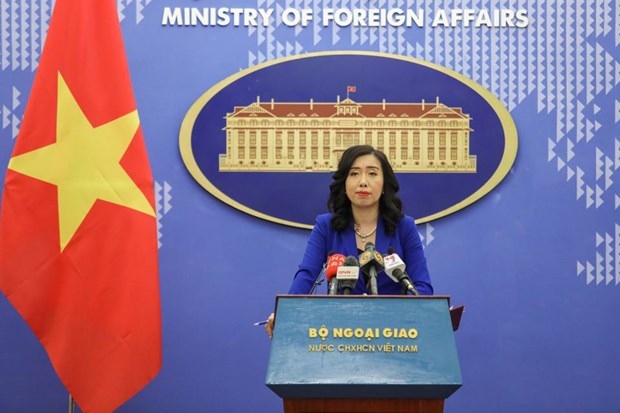 fm spokeswoman about protection of vietnamese citizens in malaysia, uk picture 1