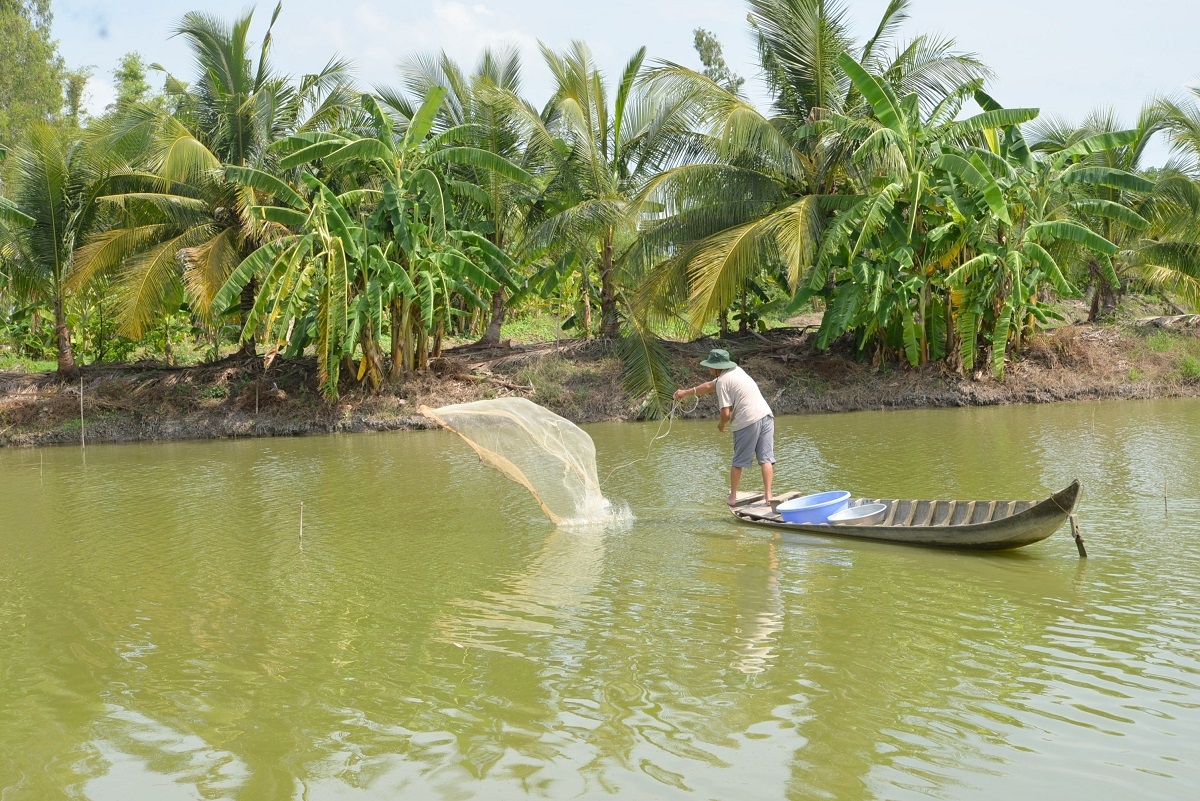 Xuất khẩu thủy sản dự kiến vượt mốc trên 10 tỷ USD trong năm nay