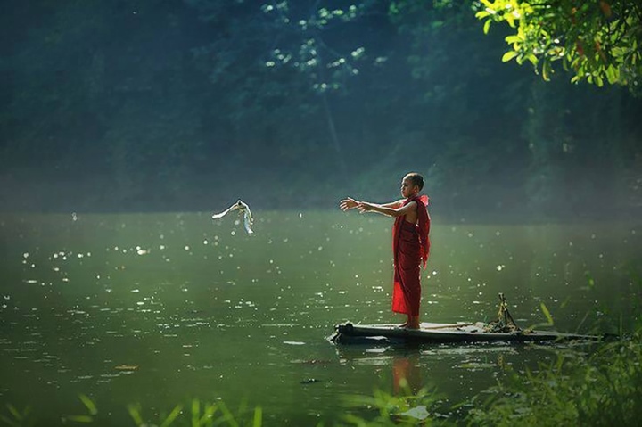 Phóng sinh thành sát sinh vì thiếu hiểu biết