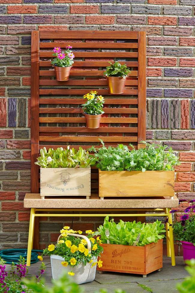 planters-against-wall-in-garden-3271fbed-7d9b08cee4aa4e54acdb9ca14ddd1faa.jpg