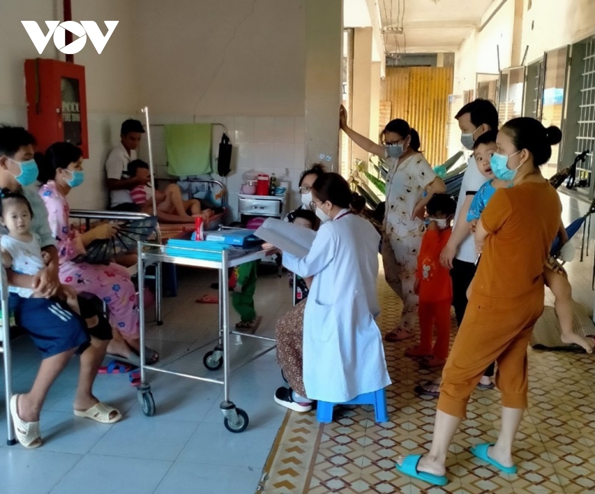 dengue fever surges at alarming rate in tien giang picture 1
