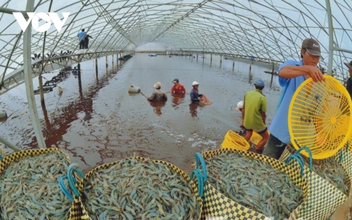 Xây dựng, phát triển các vùng nuôi thủy sản đảm bảo an toàn thực phẩm