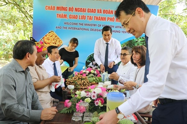 hung yen longan promoted among int l diplomatic corps, industry associations picture 1