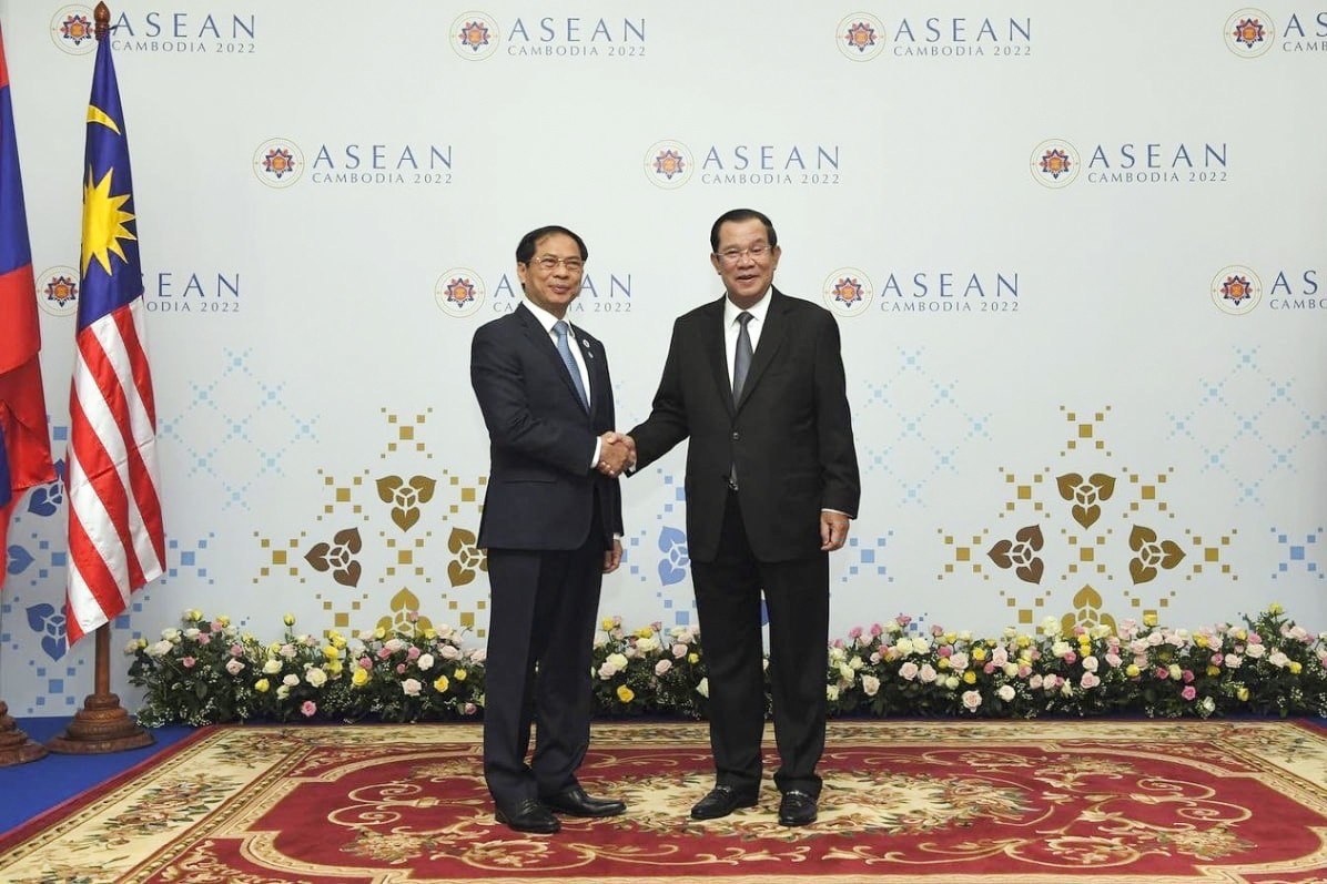 asean hanh dong cung ung pho cac thach thuc chung hinh anh 3