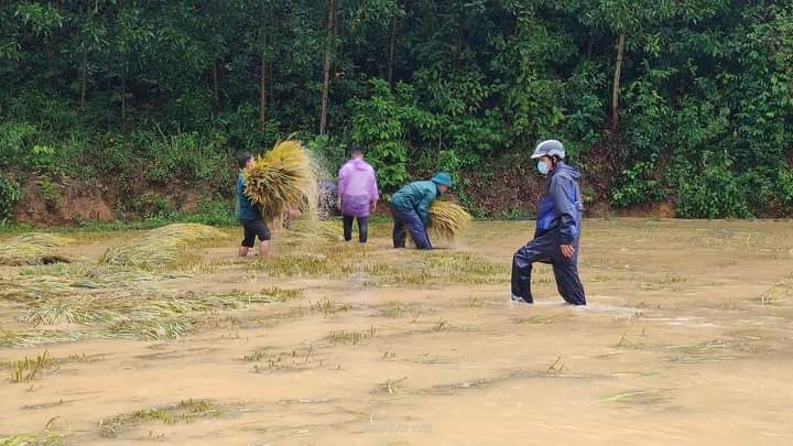 gan 600 cong an chinh quy binh Dinh ve xa, toi pham giam ro ret hinh anh 2