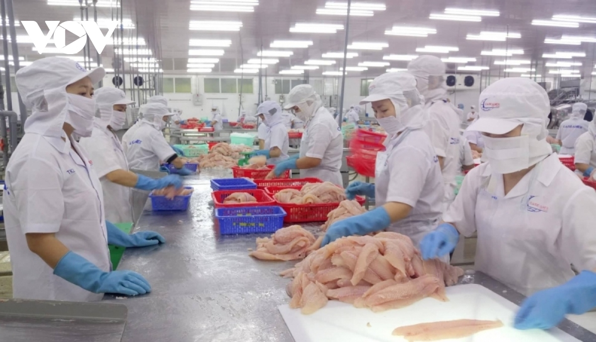 us, china become largest consumers of vietnamese pangasius picture 1
