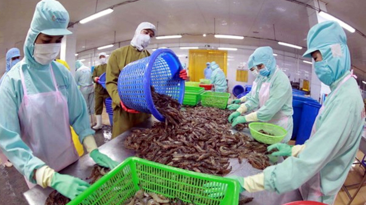 ample room ahead to boost vietnamese shrimp exports picture 1