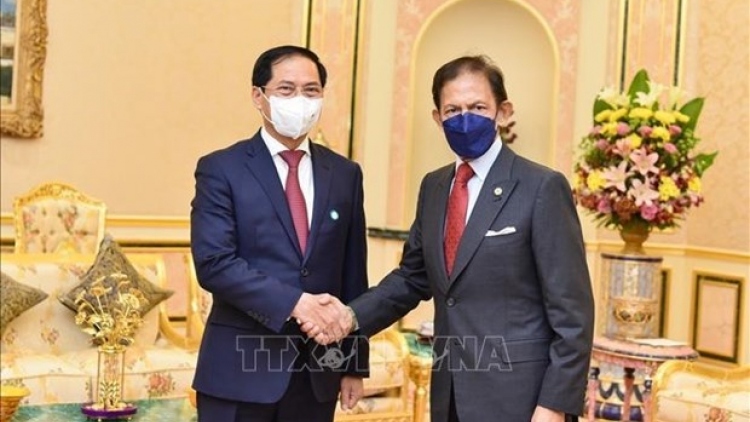 vietnam an important partner of brunei sultan haji hassanal bolkiah picture 1