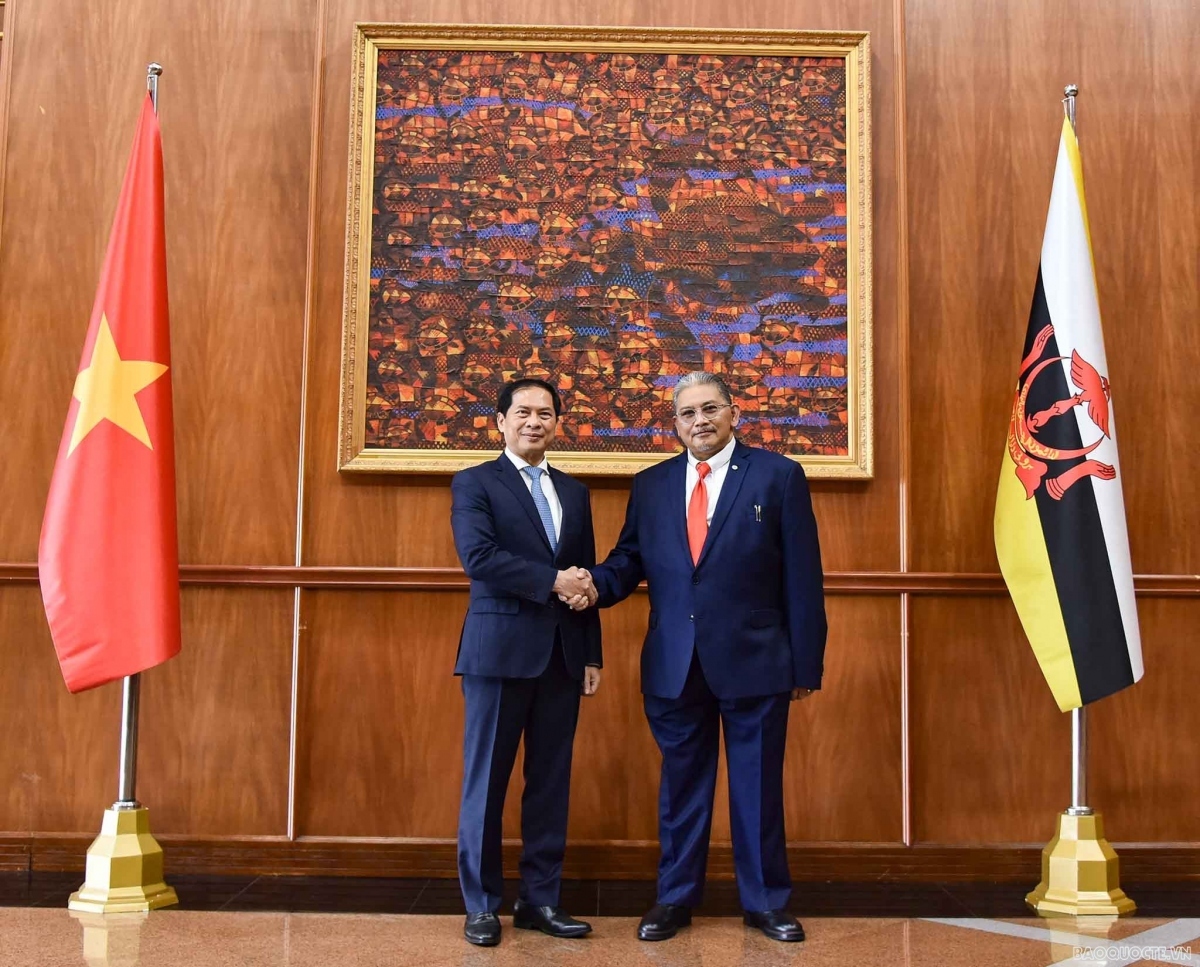 vietnam, brunei boost comprehensive partnership picture 1